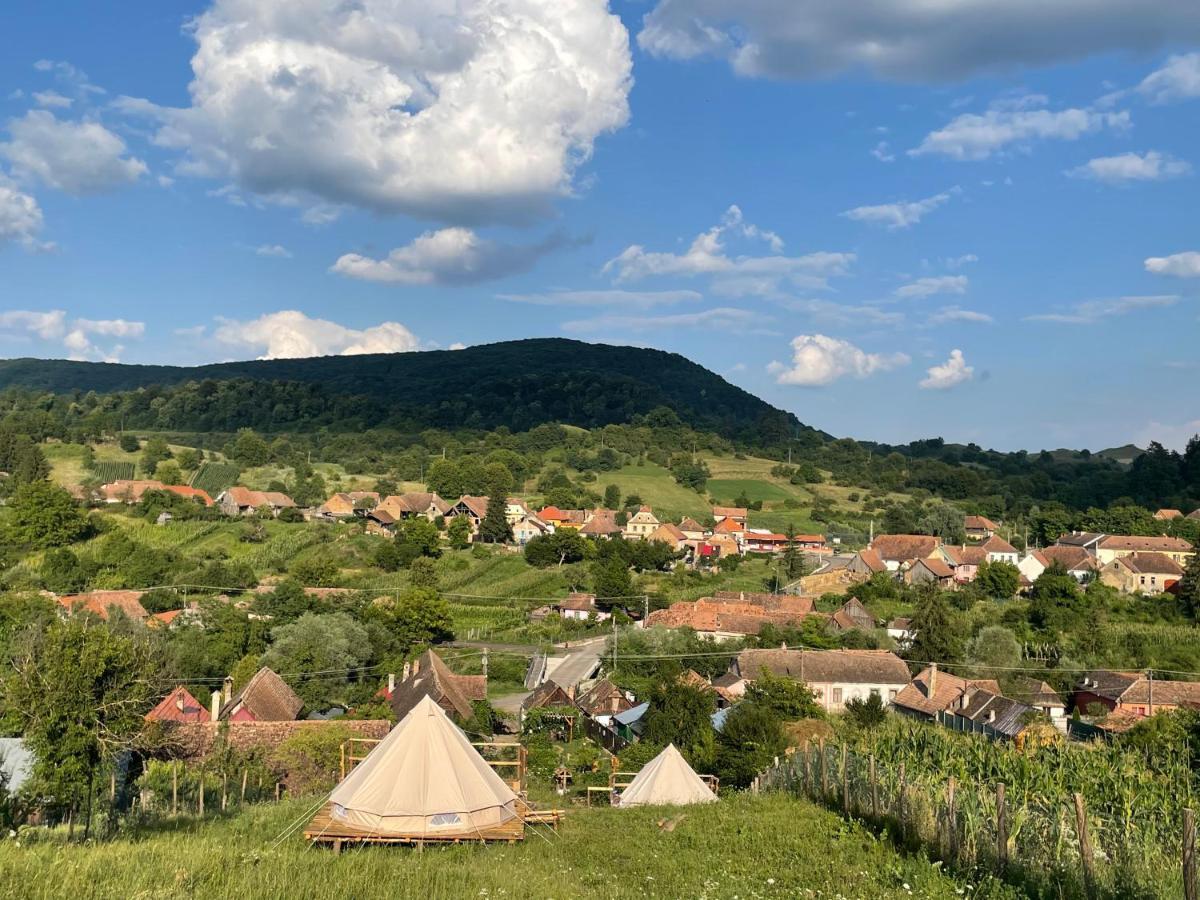 Saschiz 130/Lodging And Glamping Eksteriør bilde