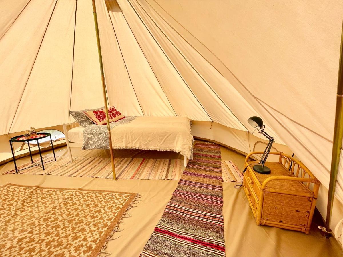 Saschiz 130/Lodging And Glamping Eksteriør bilde