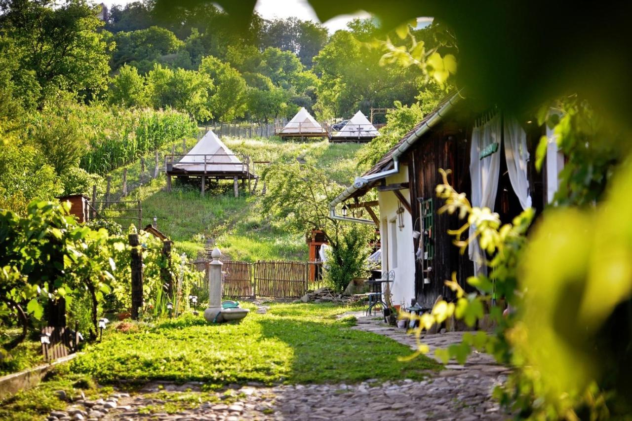 Saschiz 130/Lodging And Glamping Eksteriør bilde