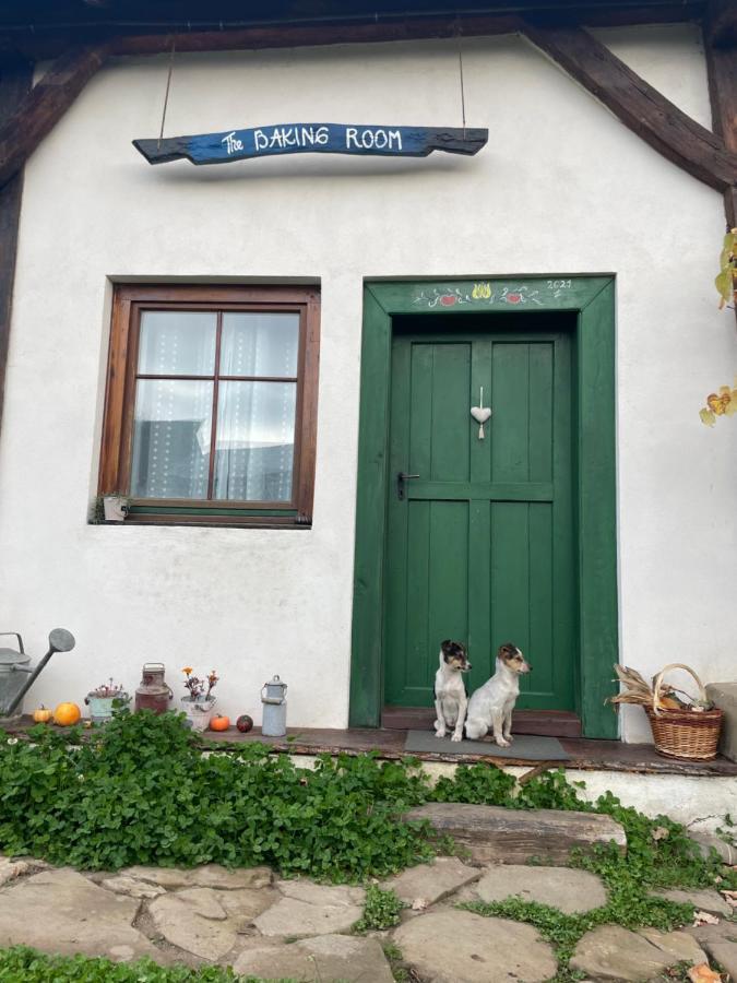Saschiz 130/Lodging And Glamping Eksteriør bilde
